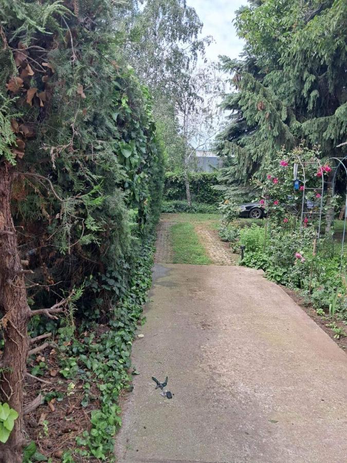 2 Rooms Retro Guesthouse In A Silent Garden Вечийш Екстер'єр фото
